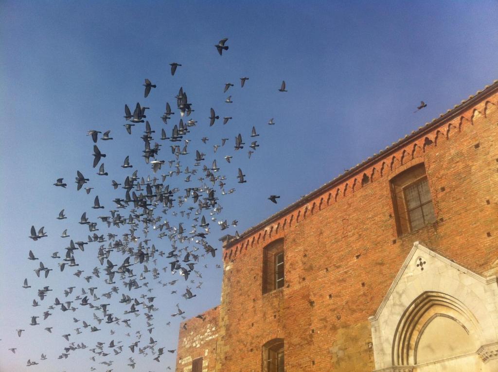 La Di San Francesco Montepulciano Stazione